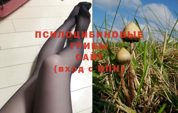 spice Верхний Тагил