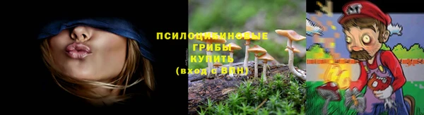 spice Верхний Тагил