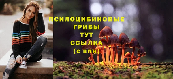 ГАЛЛЮЦИНОГЕННЫЕ ГРИБЫ Верхнеуральск